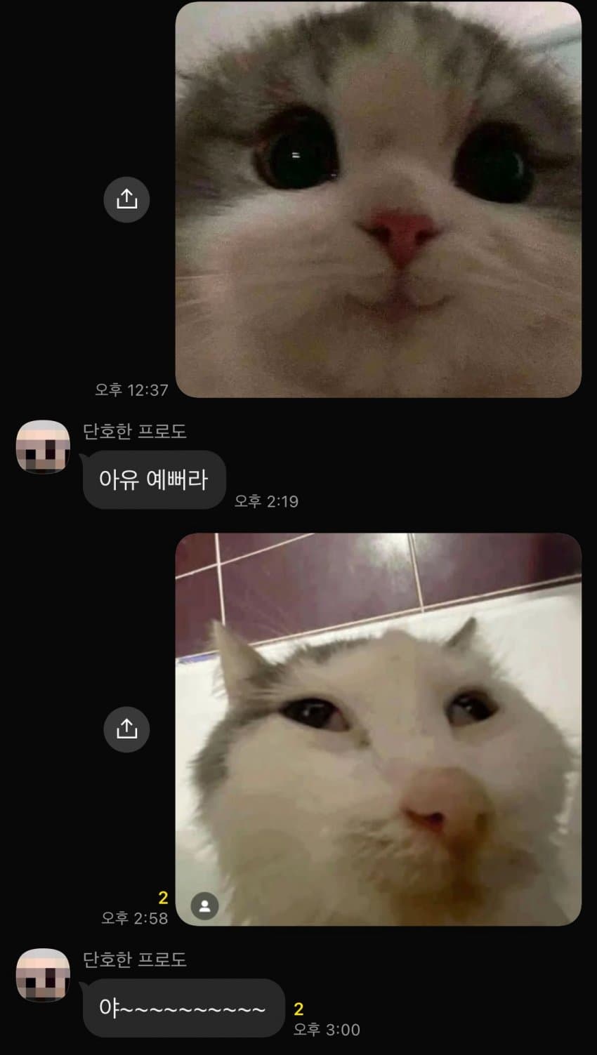 1740675047.jpg : 허리존나아프네 1740675047.jpg : 허리존나아프네