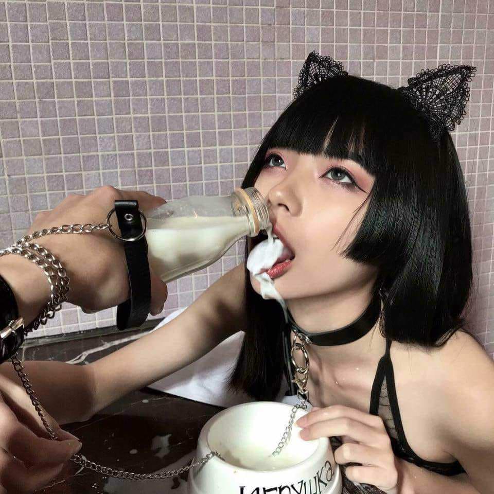 7E204388-4AB2-47CD-8CDF-4141C98D87D9.jpeg : 맛있는 우유 7E204388-4AB2-47CD-8CDF-4141C98D87D9.jpeg : 맛있는 우유