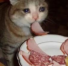 E3B021D0-2341-4B2B-B1ED-2A9DD2927743.jpeg : 나무라보 ㅋㅋㅋㅋㅋㅋㅋㅋ E3B021D0-2341-4B2B-B1ED-2A9DD2927743.jpeg : 나무라보 ㅋㅋㅋㅋㅋㅋㅋㅋ