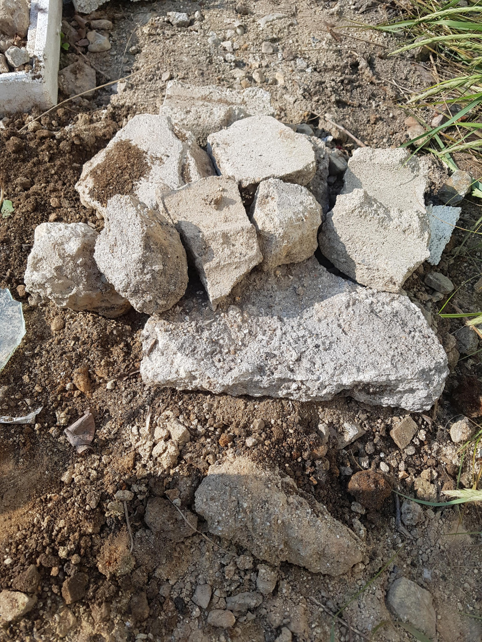 20190617_163644.jpg : 약혐주의) 고양이 주웠다 20190617_163644.jpg : 약혐주의) 고양이 주웠다