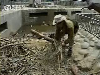 d73c1b9651154900b92.gif : 폰 씹덕짤 갤러리 날릴까 고민중 d73c1b9651154900b92.gif : 폰 씹덕짤 갤러리 날릴까 고민중