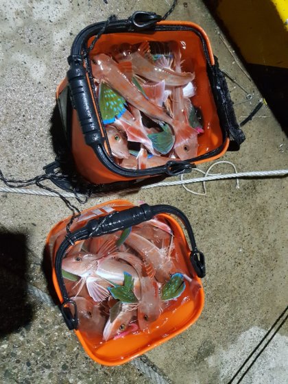 527DFDFD-FA3C-4E0E-B4C2-C908F3DA7280.jpeg : 포항으로 물고기 잡으러가쟈 527DFDFD-FA3C-4E0E-B4C2-C908F3DA7280.jpeg : 포항으로 물고기 잡으러가쟈