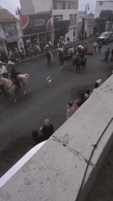 1674438380083.gif : 회사 첫 출근해보니 채용공고랑 이야기가 다름 1674438380083.gif : 회사 첫 출근해보니 채용공고랑 이야기가 다름