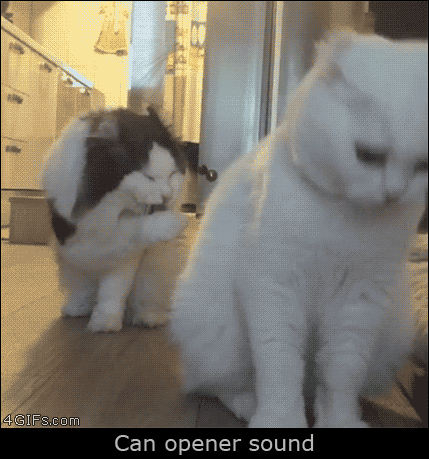 3a2faec165646bb5b5c5a682bdf18a9c.gif