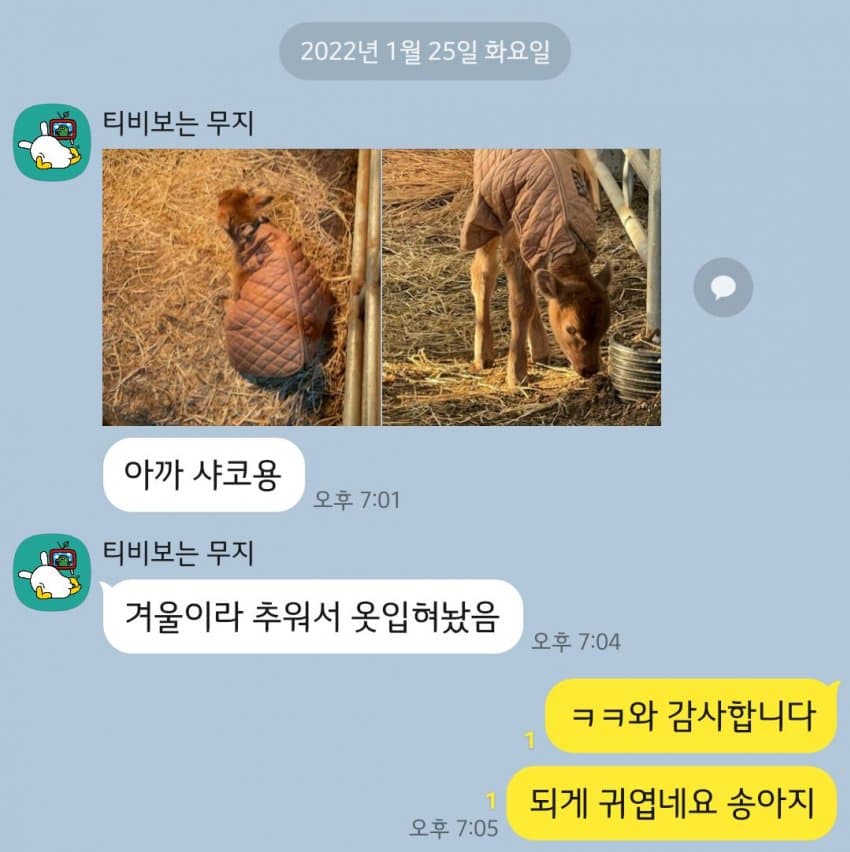 1643105611.jpg : 탈주닌자 1643105611.jpg : 탈주닌자