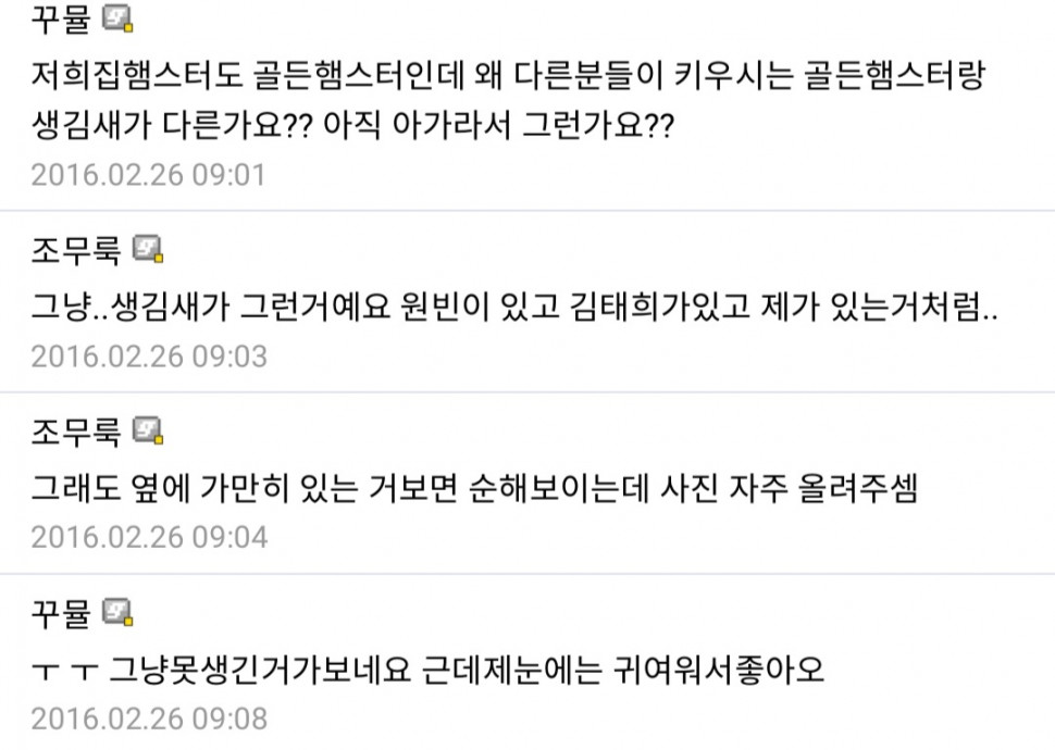 1688270346070.jpg : 우리집 햄스터가 쥐 같아여... 1688270346070.jpg : 우리집 햄스터가 쥐 같아여...