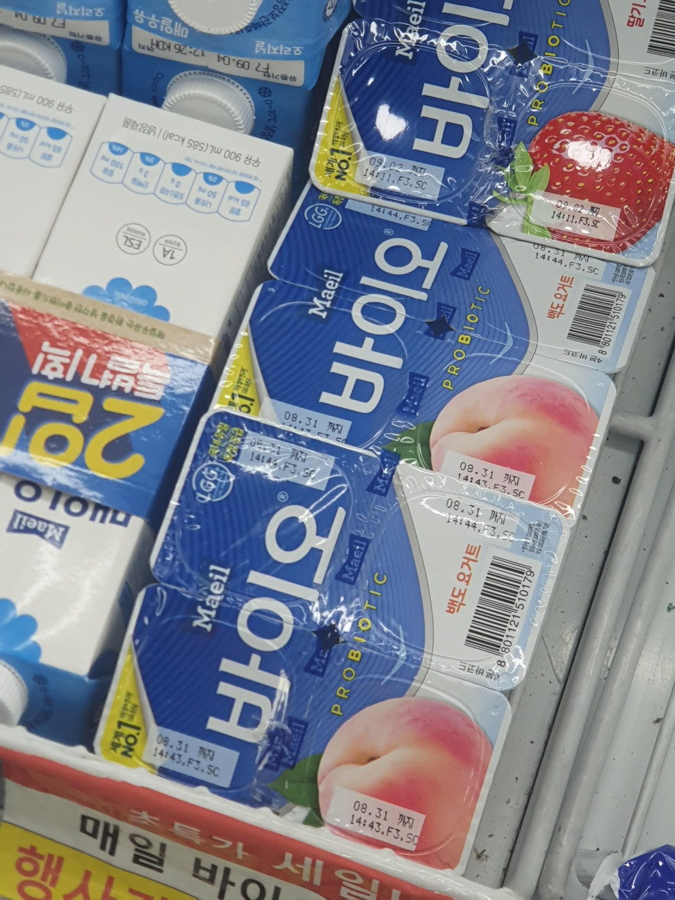 20220823_212702.jpg : 오바이오데스와 20220823_212702.jpg : 오바이오데스와