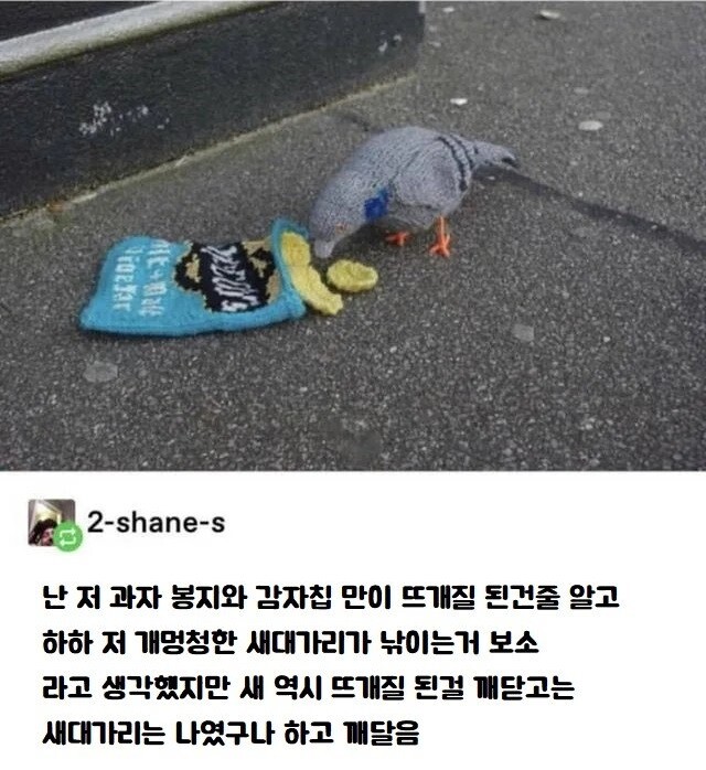 1661175258177.jpg : 새대가리 수듄ㅋㅋ