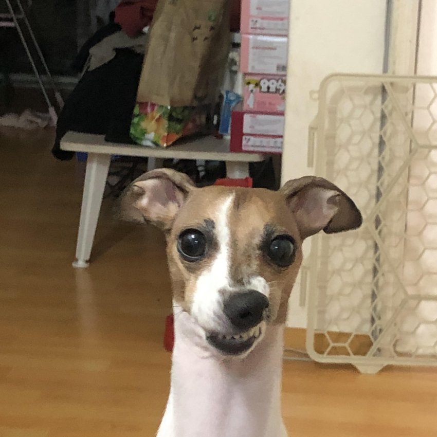 1599082634.jpg : 가끔 누군가의 목소리가 머릿속에 파악하고 선먕하게 떠오를 때가 있음 1599082634.jpg : 가끔 누군가의 목소리가 머릿속에 파악하고 선먕하게 떠오를 때가 있음