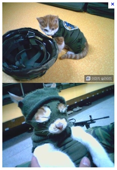 1579283831.jpeg : 버스에선 역시 드르렁이지 1579283831.jpeg : 버스에선 역시 드르렁이지