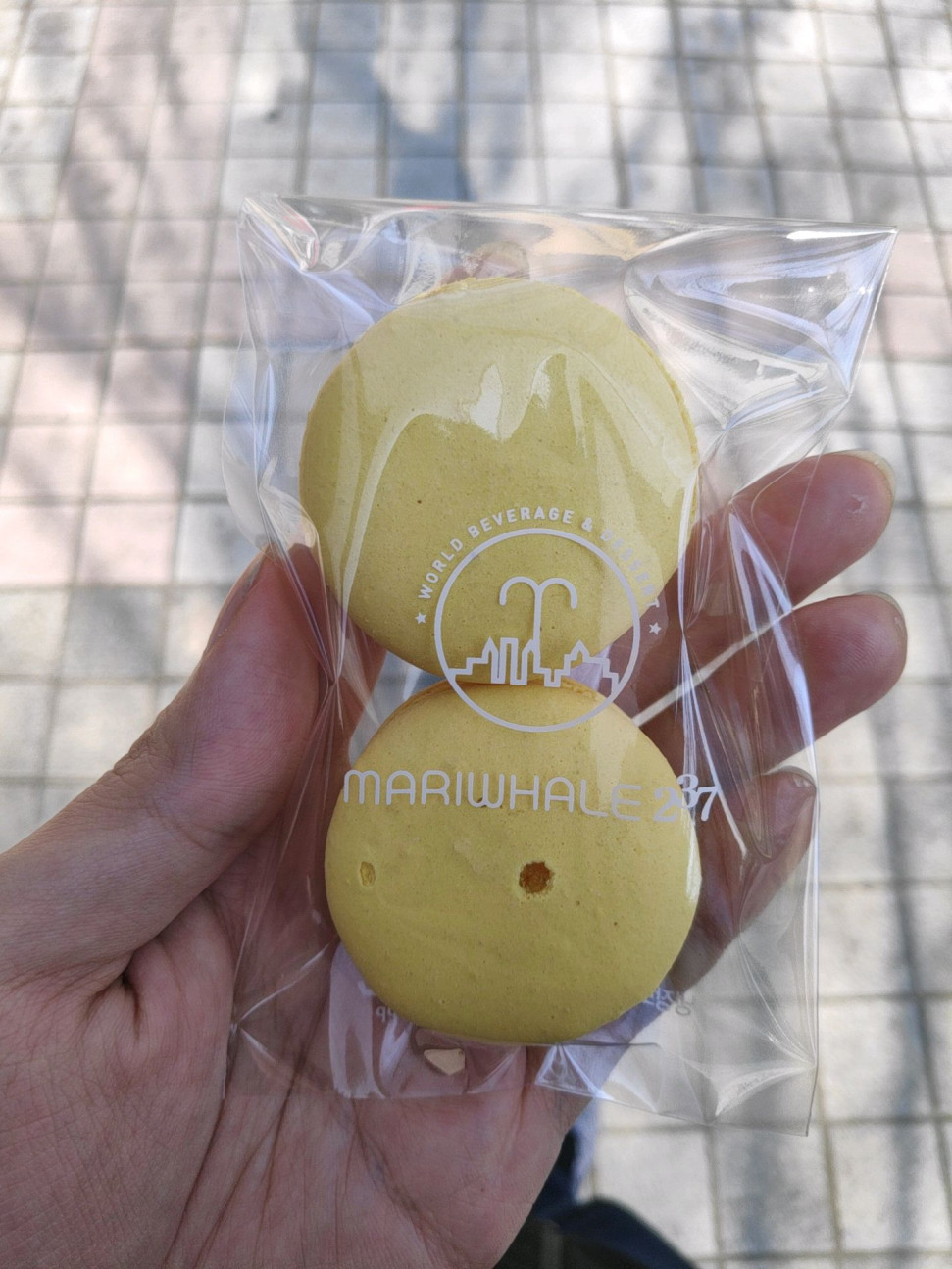 20190329_153951_284.jpg : 마카롱 20190329_153951_284.jpg : 마카롱