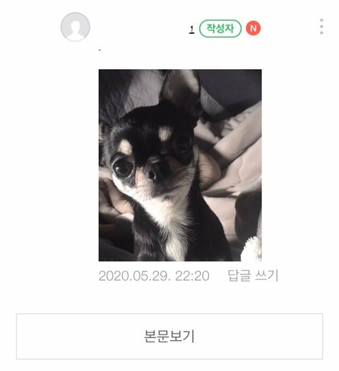 5D919717-1CAC-4CE0-A9BB-AF4BA80767C2.jpeg : 커여운짤 5D919717-1CAC-4CE0-A9BB-AF4BA80767C2.jpeg : 커여운짤
