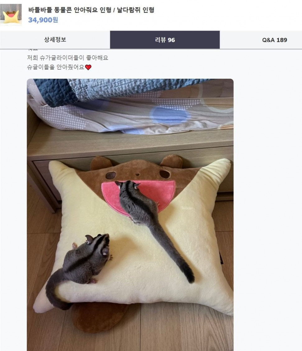 1649954384609.jpg : 안아줘여~ 1649954384609.jpg : 안아줘여~
