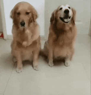 1612158971.gif : 다음생엔 꼭 금발미소녀로;; 1612158971.gif : 다음생엔 꼭 금발미소녀로;;