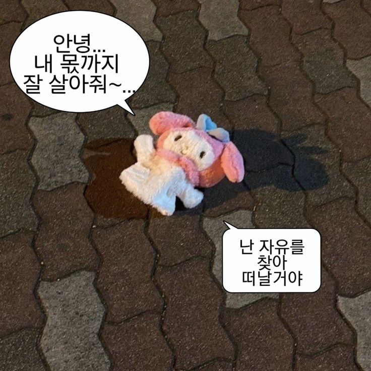 C688B502-901B-4AF1-9766-CFCDD5DB388E.jpeg : ㅇ알았정... C688B502-901B-4AF1-9766-CFCDD5DB388E.jpeg : ㅇ알았정...