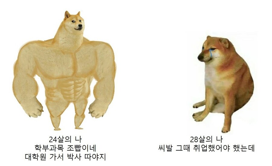8DCE8BD8-04AD-4F98-BEAA-F704D7964A9D.jpeg : 귀여운 강아지 밈 8DCE8BD8-04AD-4F98-BEAA-F704D7964A9D.jpeg : 귀여운 강아지 밈