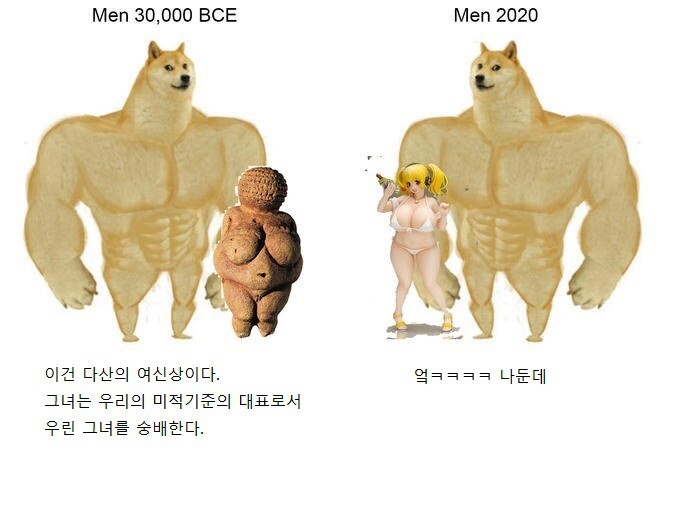 26E07875-9C1A-4CB2-A60F-CE93DDCFD8A9.jpeg : 귀여운 강아지 밈 26E07875-9C1A-4CB2-A60F-CE93DDCFD8A9.jpeg : 귀여운 강아지 밈