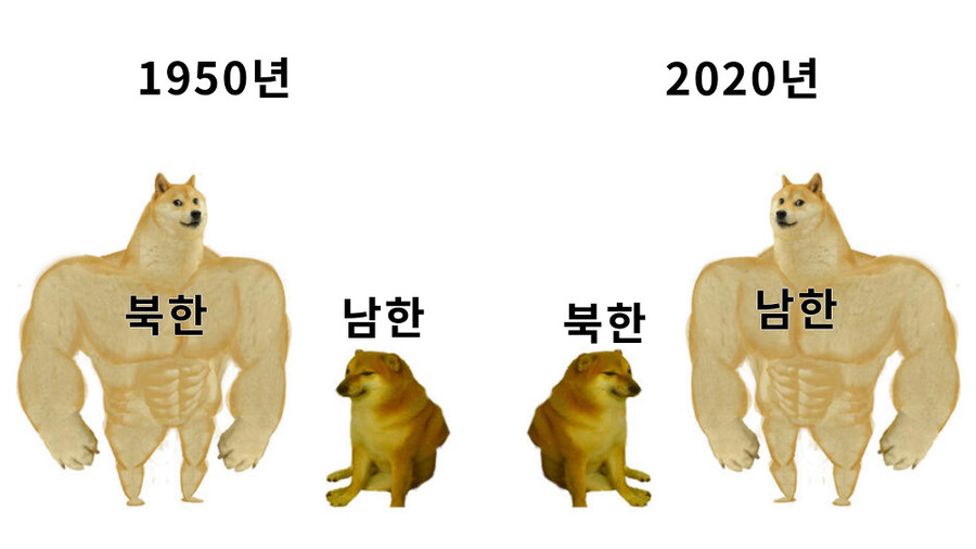 4E2FCFF7-D233-45CF-950E-9C121DD28494.jpeg : 귀여운 강아지 밈 4E2FCFF7-D233-45CF-950E-9C121DD28494.jpeg : 귀여운 강아지 밈