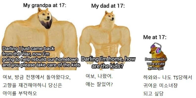 1D4A2C55-0533-40BE-8F3C-8160E206B38F.jpeg : 귀여운 강아지 밈 1D4A2C55-0533-40BE-8F3C-8160E206B38F.jpeg : 귀여운 강아지 밈