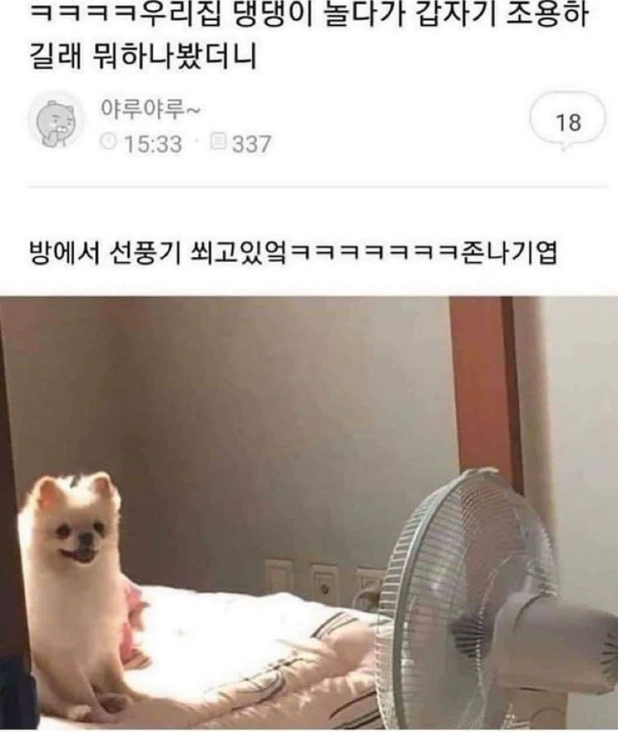 62ED7DE5-411C-472A-B5C2-0A2815B8074C.jpeg : 네흥짤.두개. 62ED7DE5-411C-472A-B5C2-0A2815B8074C.jpeg : 네흥짤.두개.