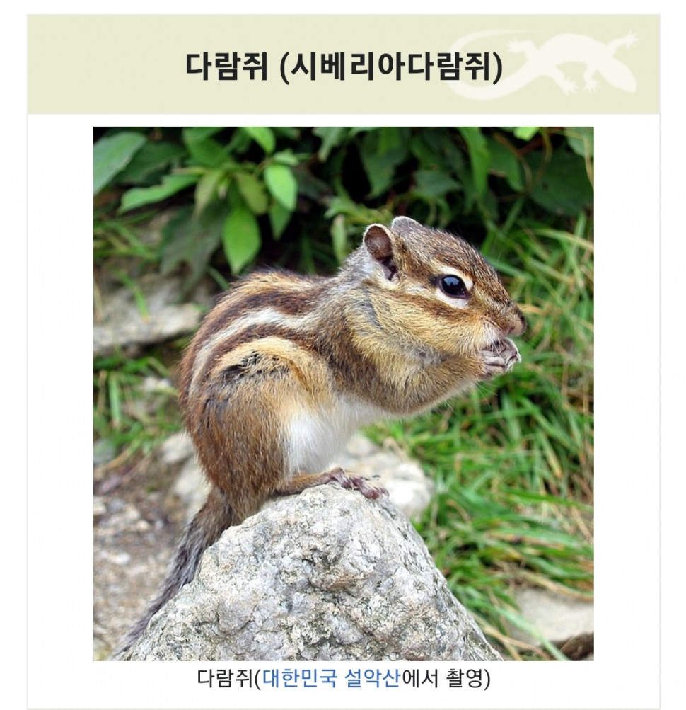 Screenshot_20230627_220341.jpg : 뭐만하면 씨베리아가 붙네 Screenshot_20230627_220341.jpg : 뭐만하면 씨베리아가 붙네