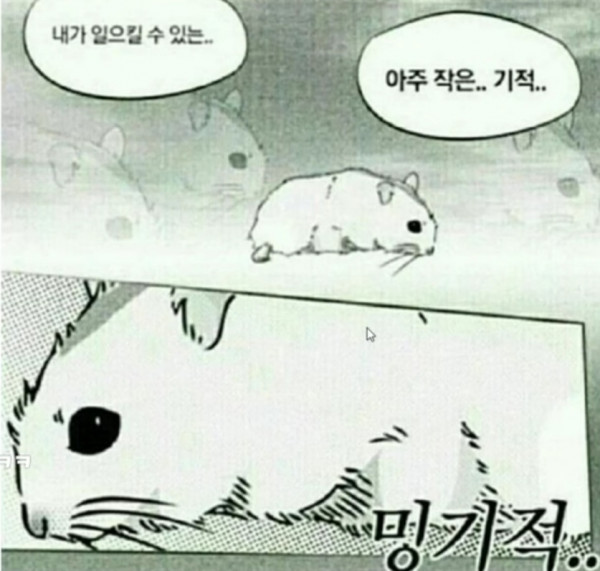 b0605054ed23aac92d3e0dcdaca8e324.jpg : 7년쓴컴터 부활시켰다... b0605054ed23aac92d3e0dcdaca8e324.jpg : 7년쓴컴터 부활시켰다...