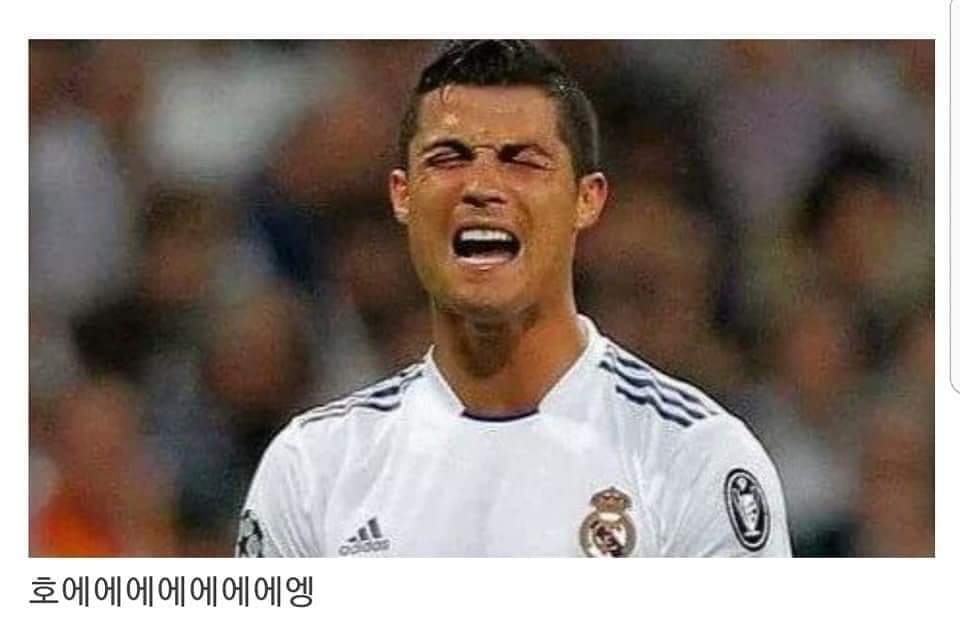 62205365_2357262201176790_4679249715169067008_n.jpg : 아 캠코더 사고싶다 62205365_2357262201176790_4679249715169067008_n.jpg : 아 캠코더 사고싶다