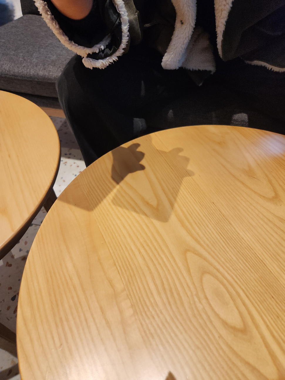 1740988196098.jpg : 오늘의 포켓몬은 뭘까요~? 1740988196098.jpg : 오늘의 포켓몬은 뭘까요~?