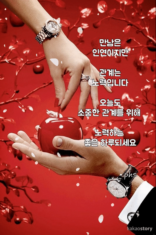 1534292977457.gif : 니네도 밴드하는구나 1534292977457.gif : 니네도 밴드하는구나