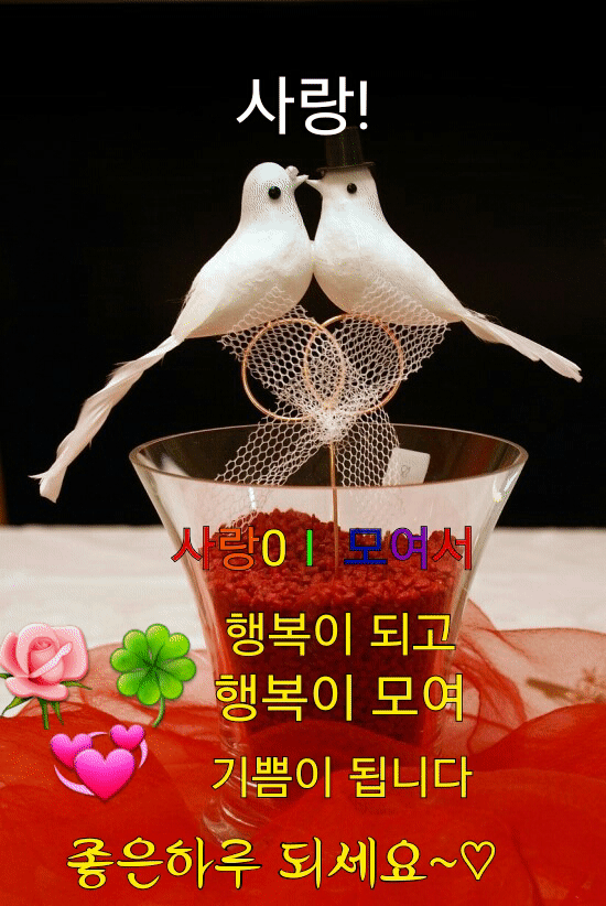 1516323122750.gif : 니네도 밴드하는구나 1516323122750.gif : 니네도 밴드하는구나