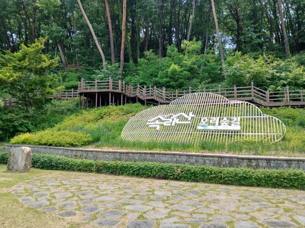 20250530_120025.jpg : 킹청도 20250530_120025.jpg : 킹청도