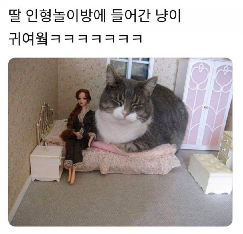 1605942578.jpg : 거대해진 떼껄룩 1605942578.jpg : 거대해진 떼껄룩