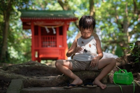 1688305529783.jpg : 네흥이의 여름 1688305529783.jpg : 네흥이의 여름