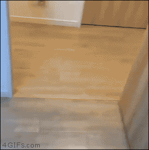 FE68F218-9BF4-4CF8-8CE2-606C11757CF7.gif : 퇴근한 네흥이 FE68F218-9BF4-4CF8-8CE2-606C11757CF7.gif : 퇴근한 네흥이
