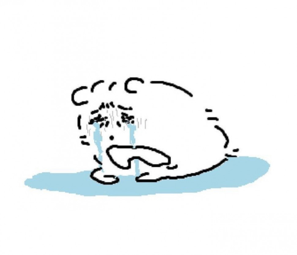 E881A7EB-C2FB-43C4-BF0D-EEF8F547C5C9.jpeg : 정신과 키타~~ E881A7EB-C2FB-43C4-BF0D-EEF8F547C5C9.jpeg : 정신과 키타~~