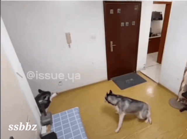 1682766340294.gif : 개매너 1682766340294.gif : 개매너