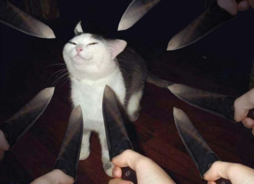1542446176.png : 네흥상스를 시작한다 1542446176.png : 네흥상스를 시작한다