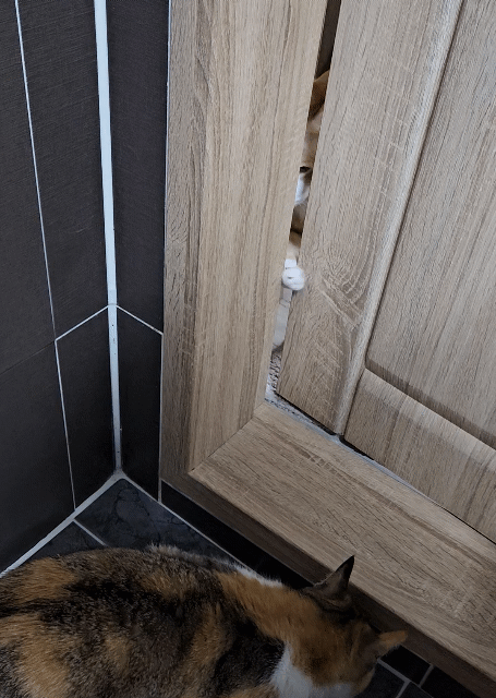 1681375749925.gif : 야 네흥이 똥싼다~~ 1681375749925.gif : 야 네흥이 똥싼다~~