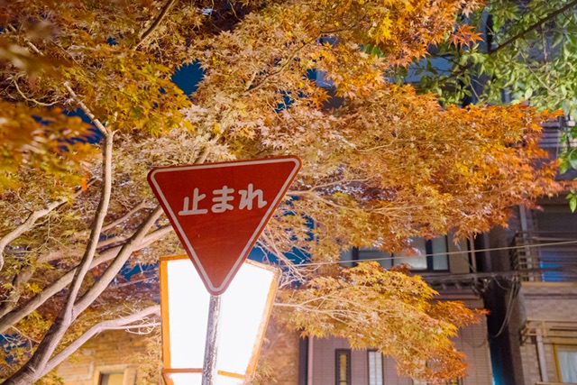 4541A994-AB58-4F78-8D1E-0EA0DBD485F8.jpeg : 여행 사진 (풍경위주) 4541A994-AB58-4F78-8D1E-0EA0DBD485F8.jpeg : 여행 사진 (풍경위주)