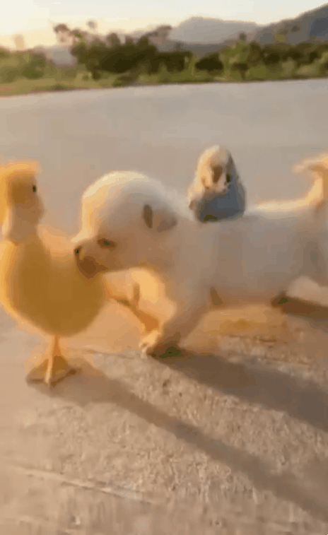 1675417742300.gif : 문득 든 생각인데 1675417742300.gif : 문득 든 생각인데
