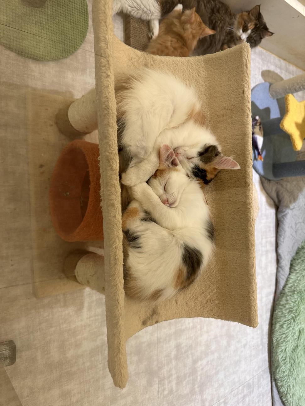 IMG_0379.jpeg : 다시 올려줄께 IMG_0379.jpeg : 다시 올려줄께