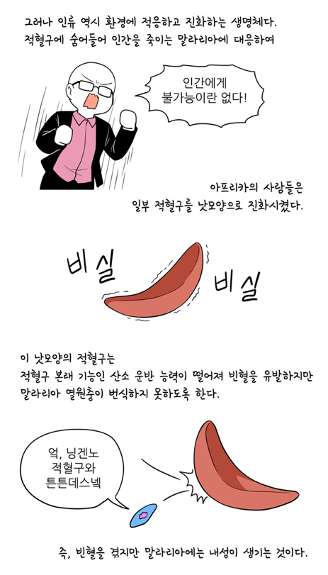 0C904F32-0645-4833-B69A-C2CE9BF598ED.jpeg : 말라리아에 대항해 진화해온 흑인 0C904F32-0645-4833-B69A-C2CE9BF598ED.jpeg : 말라리아에 대항해 진화해온 흑인