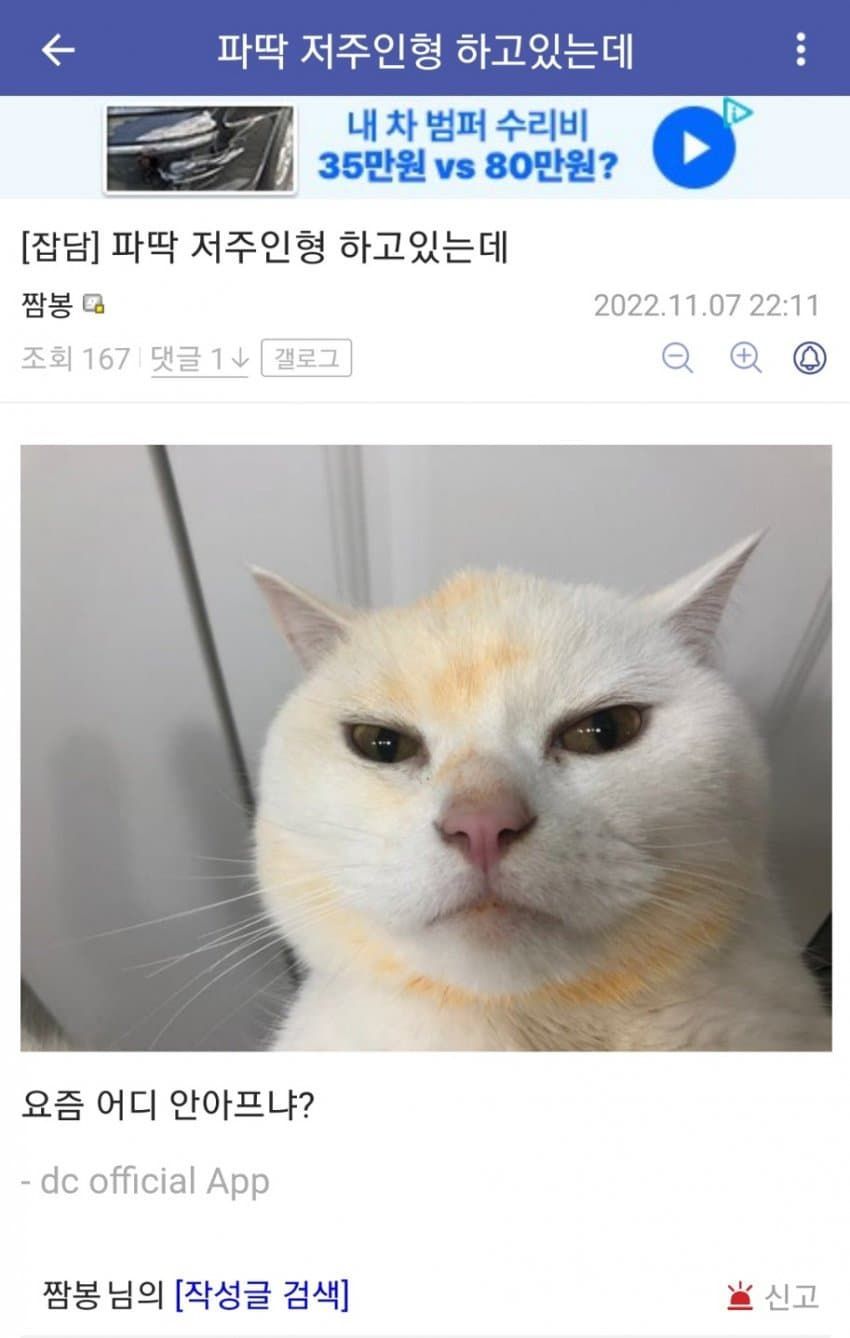 C4603C27-C75E-46F2-8348-E261940AC485.jpeg : 저주인형 C4603C27-C75E-46F2-8348-E261940AC485.jpeg : 저주인형