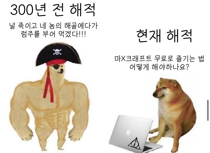 9075A182-57CE-404A-8DF8-8A4AC0810712.jpeg : 시바 밈
