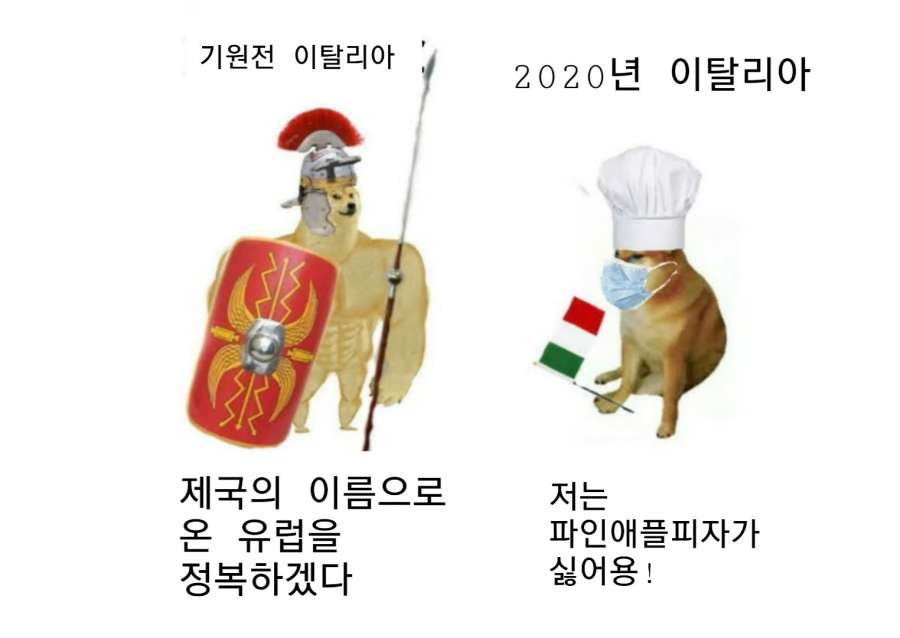 FBDEEC16-6908-42FC-97FA-413BBF4575A0.jpeg : 시바 밈