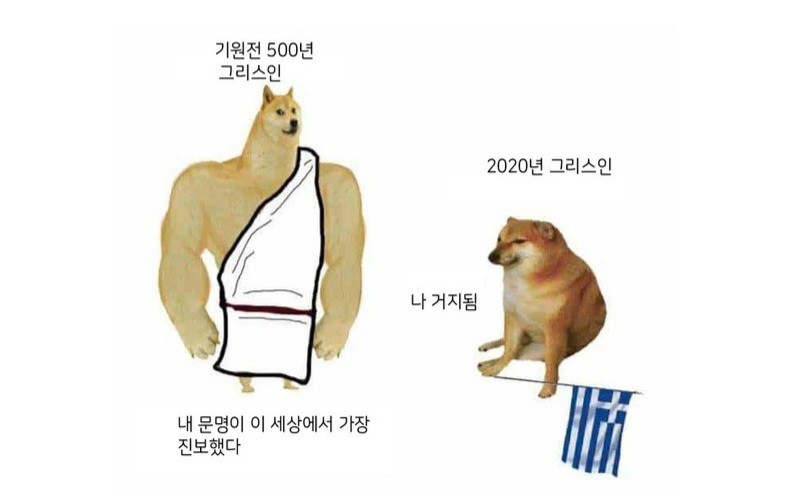 2ED0AA86-86BE-4323-B9F0-1CAB07B1FBF6.jpeg : 시바 밈