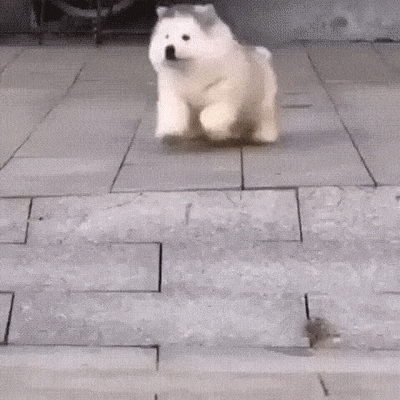 1672055576495.gif : 주르륵 1672055576495.gif : 주르륵