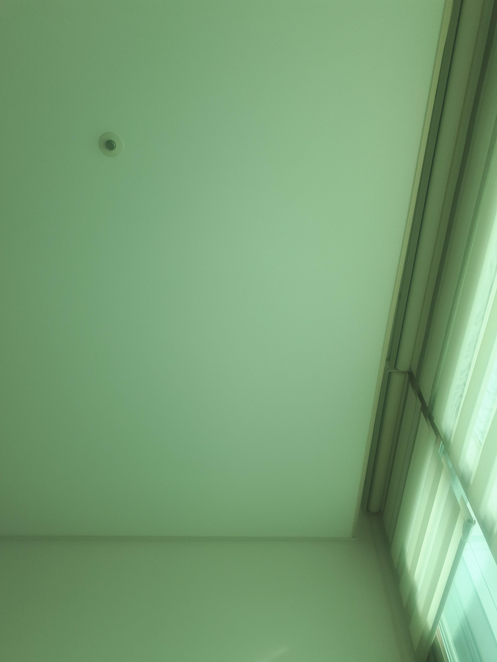 20190601_173146.jpg : 이것도 소소한 행복 아니겠는가 20190601_173146.jpg : 이것도 소소한 행복 아니겠는가