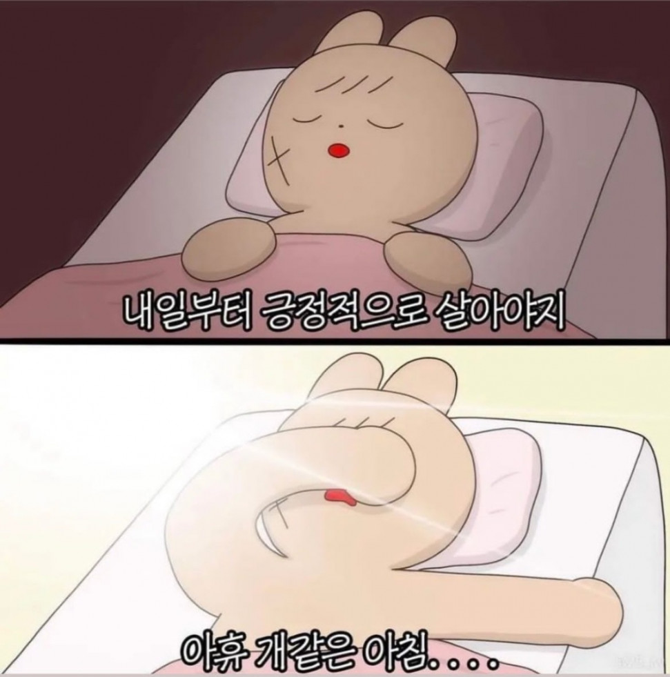1662519636730.jpg : 졸류 1662519636730.jpg : 졸류