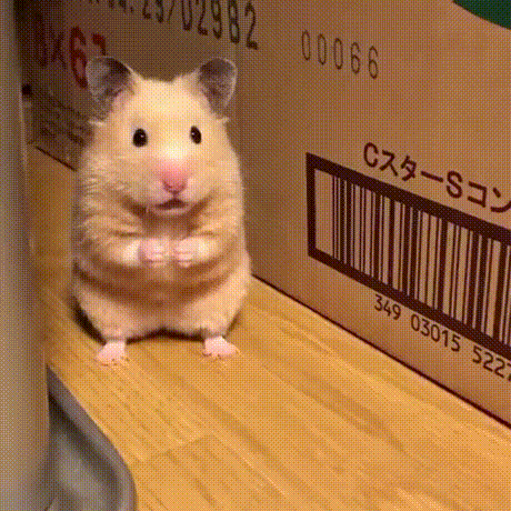 F9622111-90E0-4BE7-AB9D-ACBEFE2F2F35.gif : 뭐냐 오늘 네망이냐? F9622111-90E0-4BE7-AB9D-ACBEFE2F2F35.gif : 뭐냐 오늘 네망이냐?